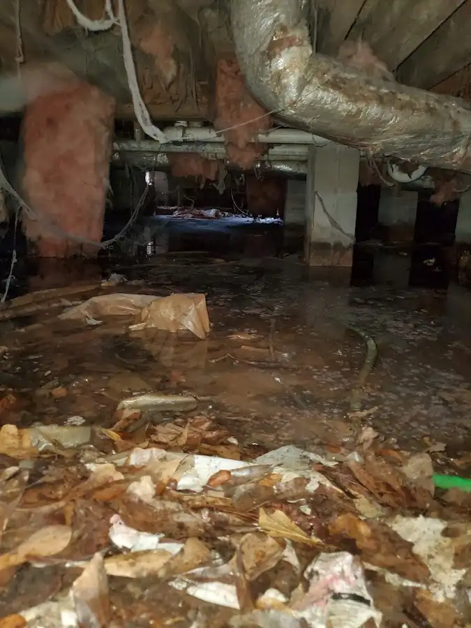 Crawl space flood assessment for Leak Detection & Repair in Cambridge